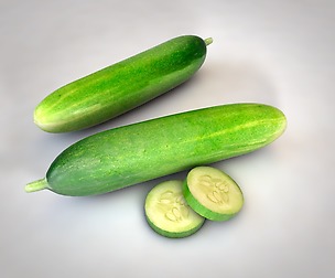 Cucumber 3D Model