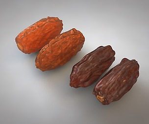 Dates 3D Model