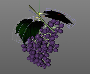Grapes 3D Model