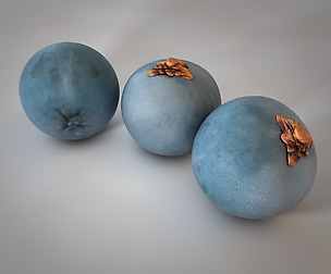 Juniper berry 3D Model