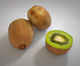 Kiwi 3D Model