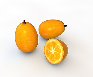 Kumquats 3D Model