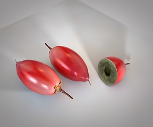 Miracle Fruit 3D Model