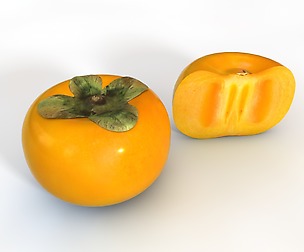Persimmons 3D Model