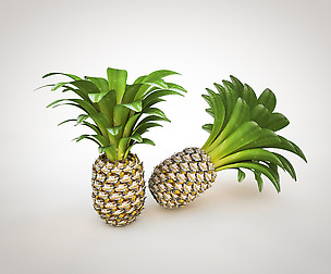 Pine apple 3D Model