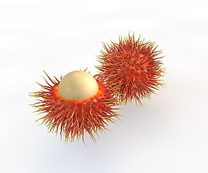 Rambutan 3D Model