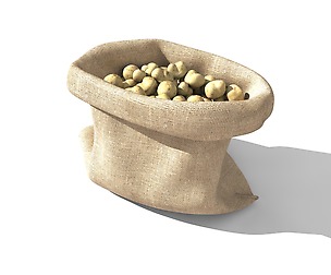 Sack potato 3D Model