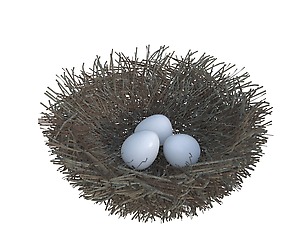 Nest 3D Model