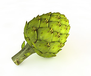 Artichoke 3D Model