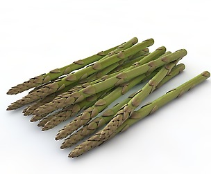 Asparagus 3D Model