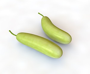 Bottle Gourd 3D Model