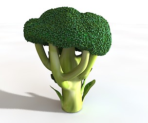 Broccoli 3D Model