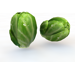 Brussels Sprouts 3D Model