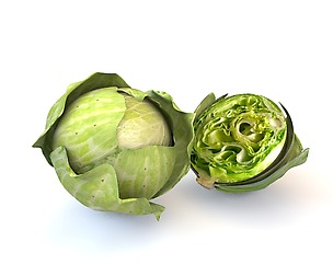 Cabbage (Green) 3D Model