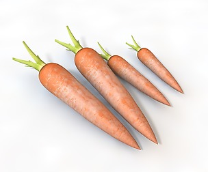 Carrots 3D Model