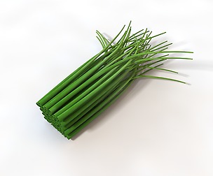 Chives 3D Model