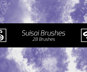Susai Pack - 28 Brushes