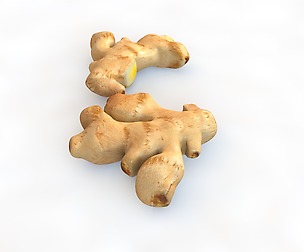 Ginger 3D Model