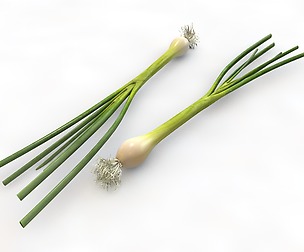 Green Onions 3D Model