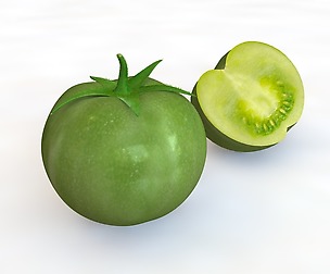 Green Tomato 3D Model