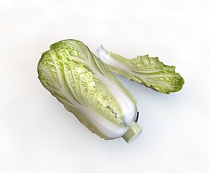 Kimchi _ napa cabbage 3D Model