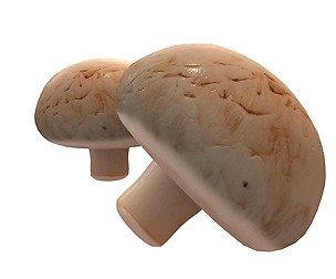 Mushrooms button 3D Model