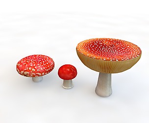 Mushrooms red 3D Model