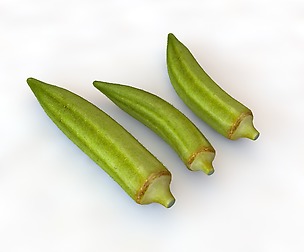 Okra _ Lady finger 3D Model