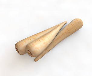 Parsnips 3D Model