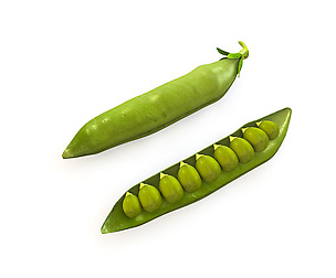 Peas 3D Model