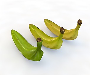 Plantain 3 types 3D model