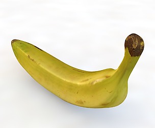 Plantain yellow 3D Model