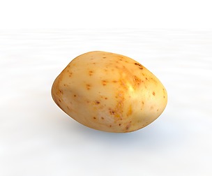 Potato A 3D Model