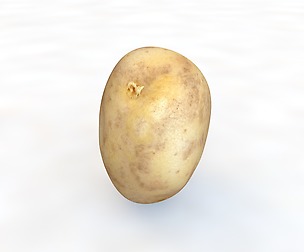 Potato B 3D Model