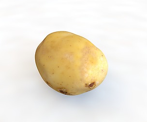 Potato C 3D Model