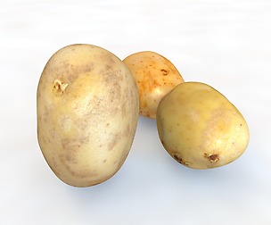 Potatoes 3D Model