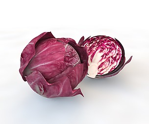 Radicchio Rounded 3D Model