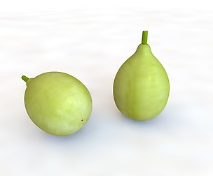 Round Gourd 3D Model