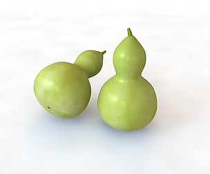 Round neck gourd 3D Model