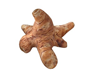 Sunchoke 3D Model