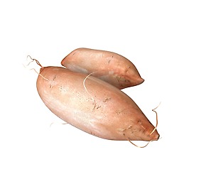 Sweet Potato Brown 3D Model