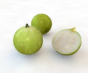 Tinda 3D Model