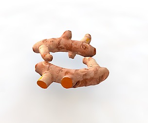 Turmeric root 3D Model