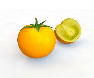 Yellow Tomato 3D Model