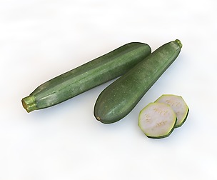 Zucchini _ courgette 3D Model