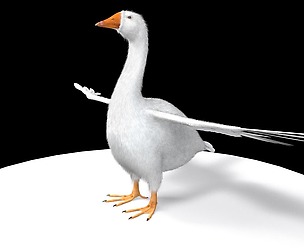 Goose old 3D Model