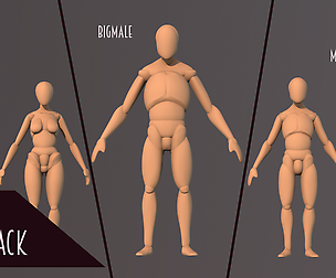 Anatomy BASEMESHES Pack
