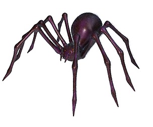 Spider 3D Model