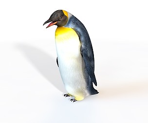 Penguin 3D Model