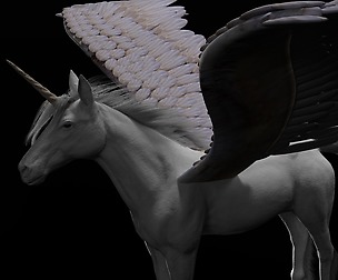 Pegasus Hair Fur 3D Model